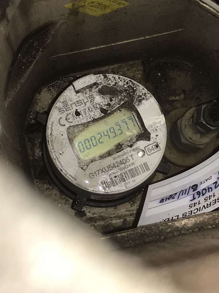 A water meter read during a leak check